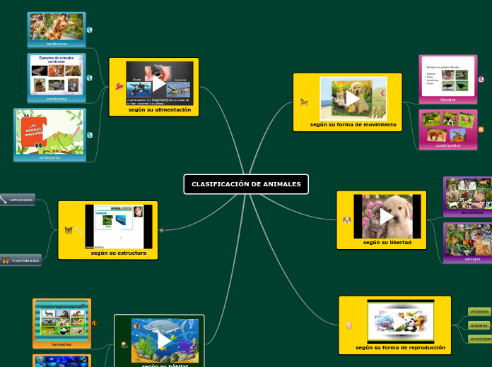 CLASIFICACIÓN DE ANIMALES - Mapa Mental