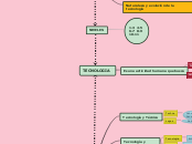 Cartilla 30 - Mapa Mental