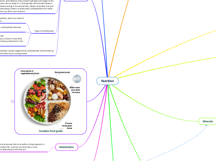 Nutrition - Mind Map