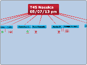        T300 11/05/13 pm - Mapa Mental