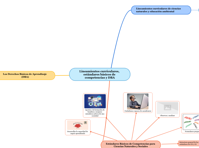 Lineamientos curriculares, estándares b...- Mapa Mental