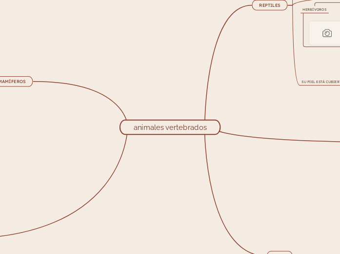 animales vertebrados