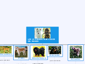 LOS 10 PERROS MAS CAROS DEL MUNDO - Mapa Mental