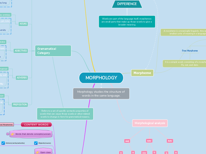 MORPHOLOGY - Mind Map
