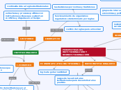 PERSPECTIVAS DEL INSTITUCIONALISMO Y NE...- Mapa Mental