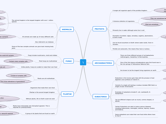 \ - Mind Map