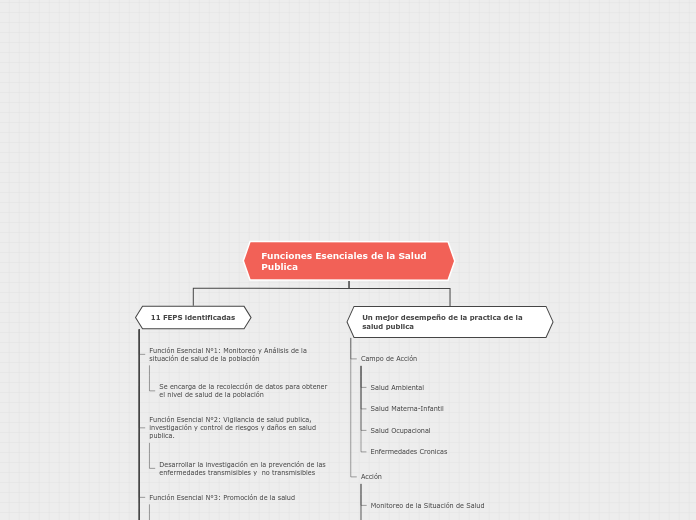 Funciones Esenciales de la Salud    Pub...- Mapa Mental