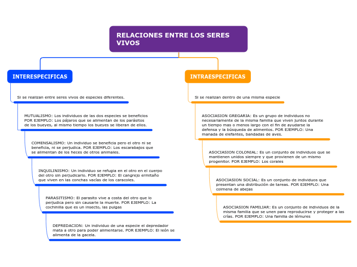 RELACIONES ENTRE LOS SERES VIVOS - Mapa Mental