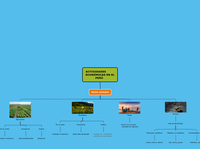ACTIVIDADES
ECONÓMICAS EN EL
          ...- Mapa Mental