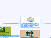 ΚΛΙΜΑΤΙΚΕΣ ΖΩΝΕΣ - Mind Map