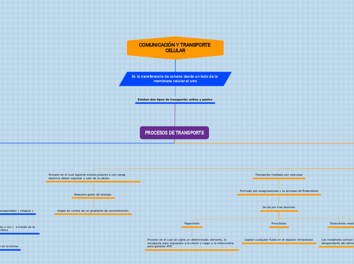 PROCESOS DE TRANSPORTE - Mapa Mental
