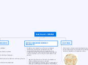 BACILLUS CEREUS - Mapa Mental
