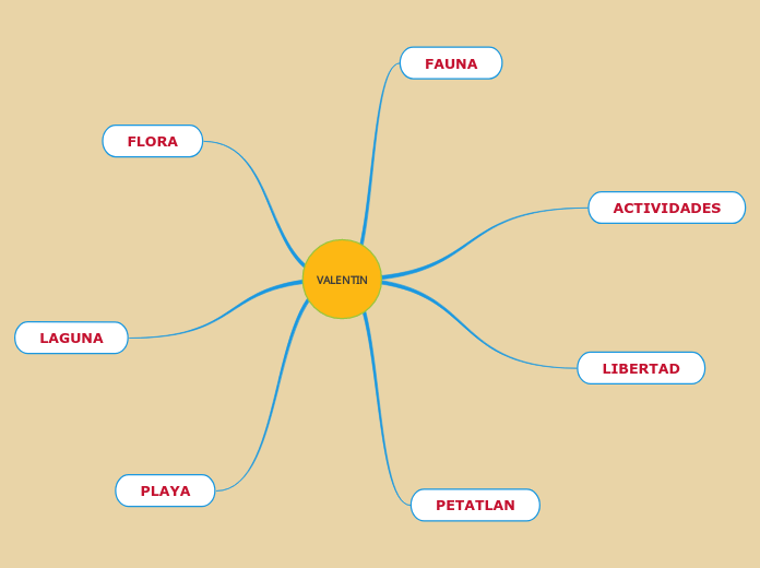 VALENTIN - Mind Map