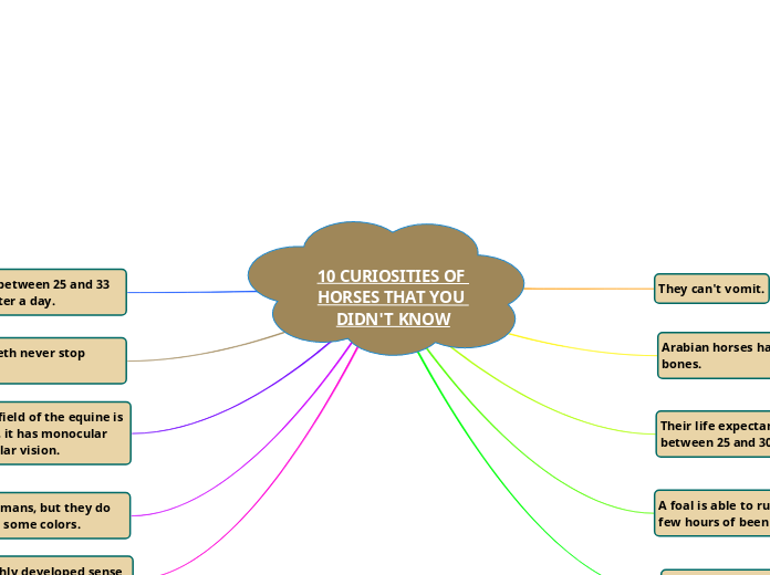 10 CURIOSITIES OF HORSES THAT YOU DIDN'T K...- Mind Map