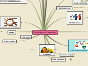 Se divide en 6  Aspectos - Mapa Mental