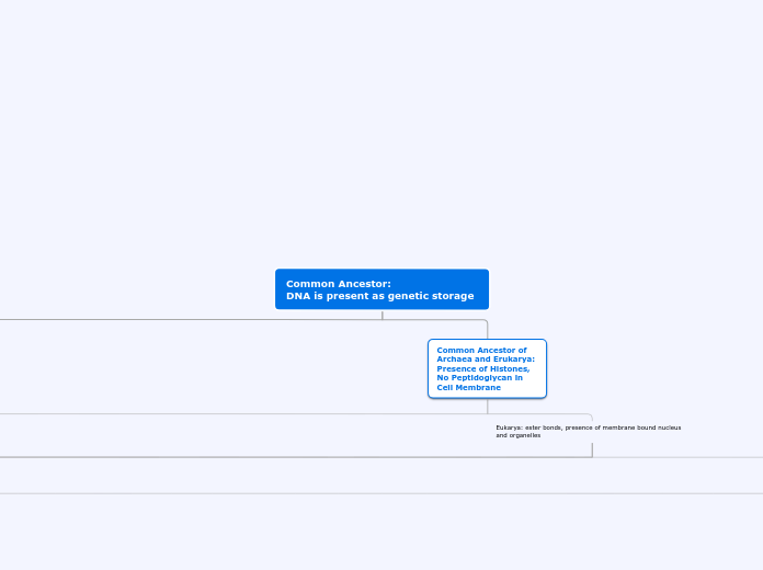 Common Ancestor:                     DNA i...- Mind Map