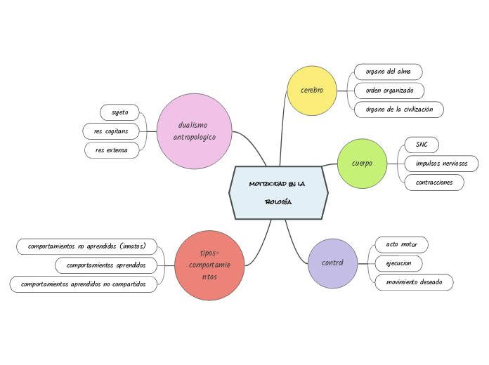 motricidad en la biología - Mapa Mental