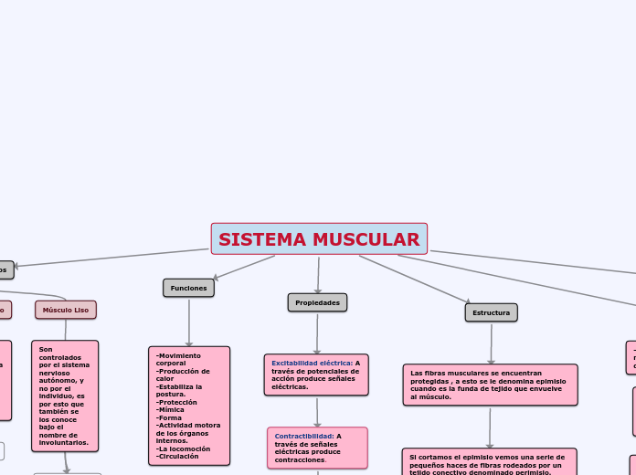 SISTEMA MUSCULAR - Mapa Mental