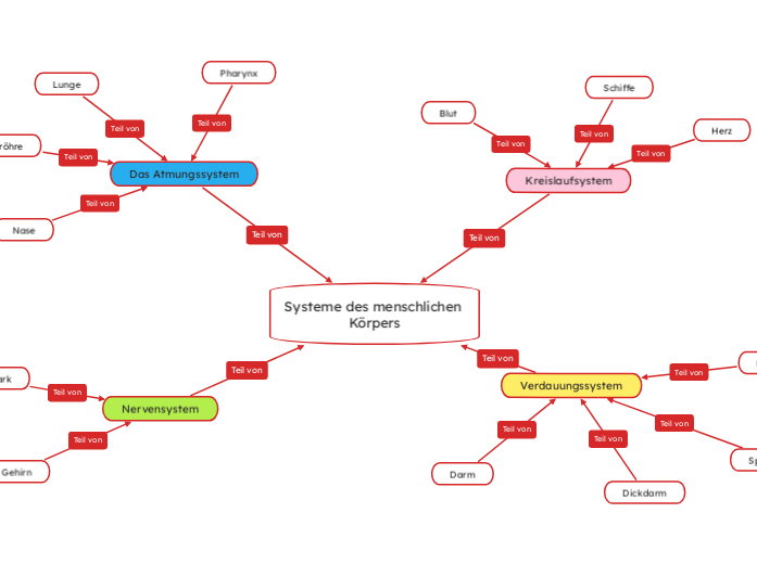 Systeme des menschlichen Körpers - Mindmap