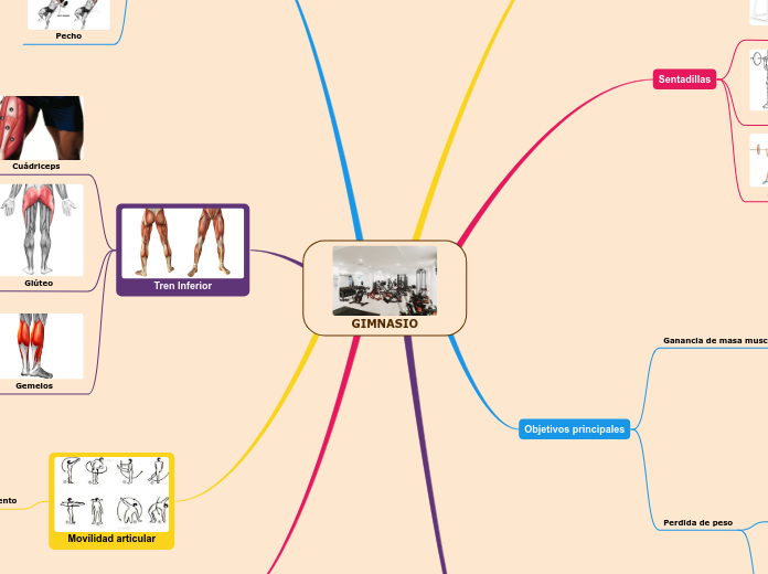 GIMNASIO - Mapa Mental