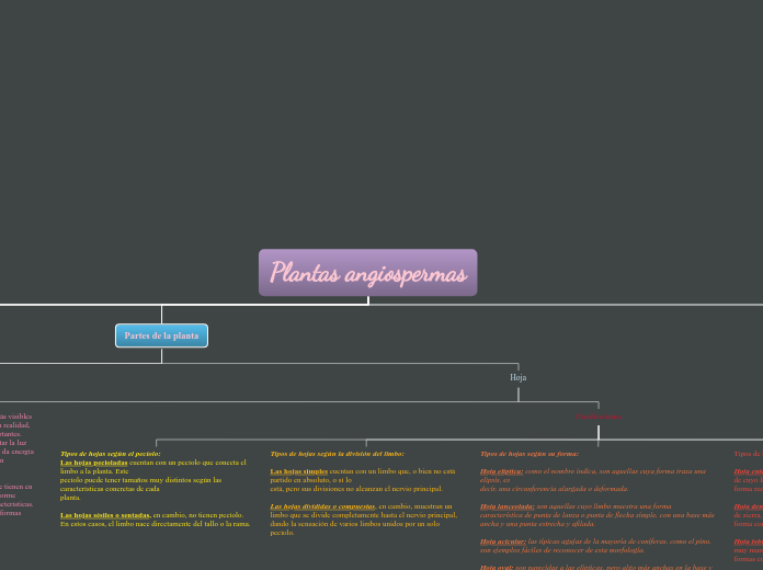 Plantas angiospermas - Mapa Mental