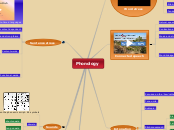 Phonology - Mind Map