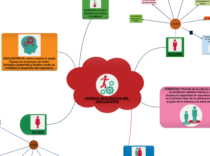 CAMBIOS BIOLÓGICOS DEL ADOLESCENTE - Mapa Mental