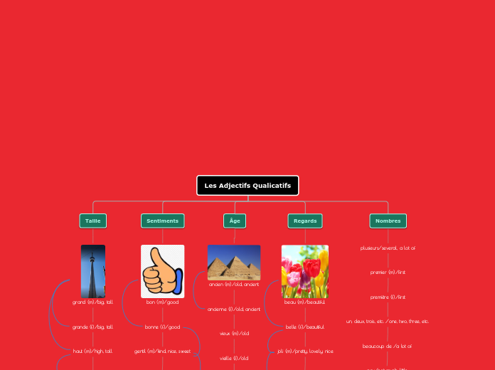 Les Adjectifs Qualicatifs - Carte Mentale