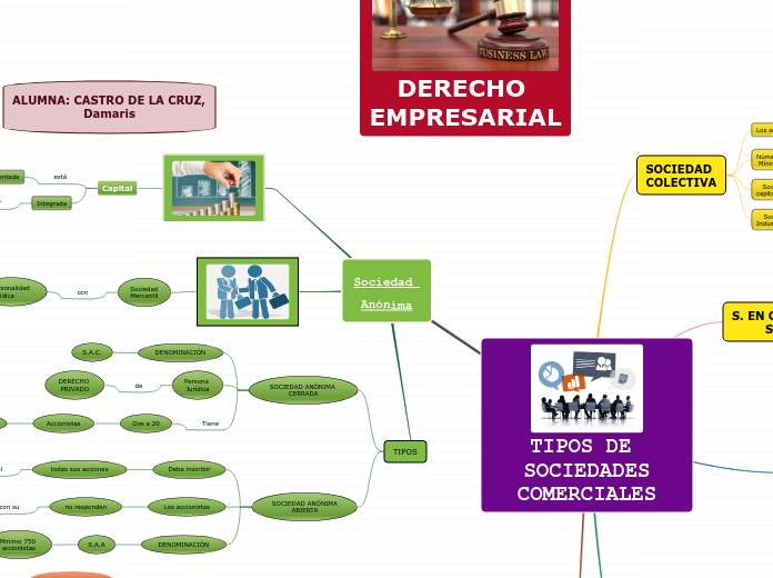 Sociedad 
Anónima - Mapa Mental