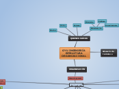 GYU INGENIERÍA
ESTRUCTURA
ORGANIZACIONA...- Mapa Mental
