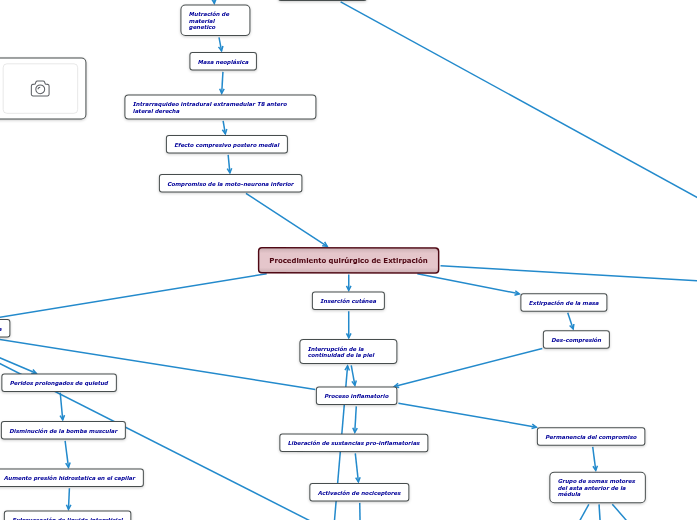 Procedimiento quirúrgico de Extirpación Mind Map