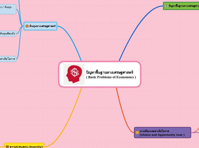 ปัญหาพื้นฐานทางเศรษฐศาสตร์               ( Basic Problems of Economucs )