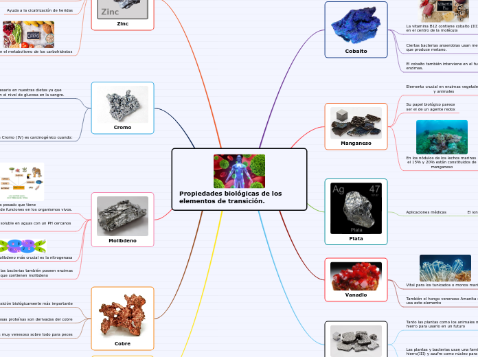 Propiedades biológicas de los elementos...- Mapa Mental