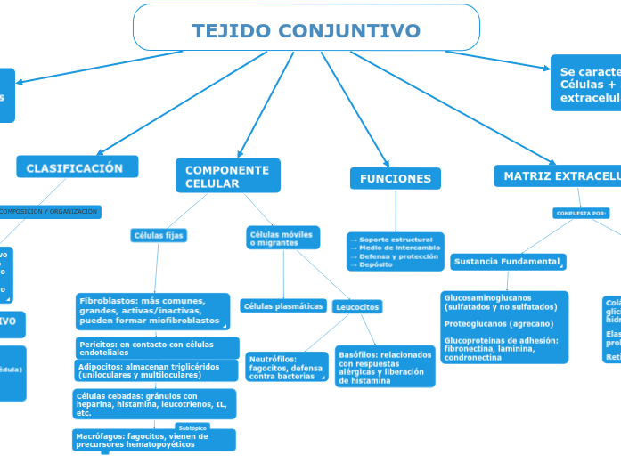 TEJIDO CONJUNTIVO