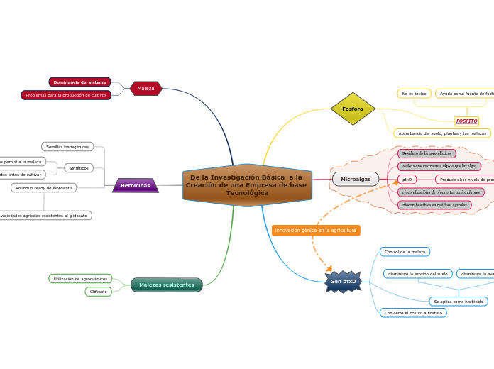 De la Investigación Básica  a la Creaci...- Mapa Mental