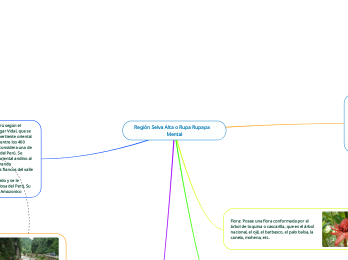 Rupa Rupa Mapa Región Selva Alta o Rupa Rupapa Mental - Mind Map