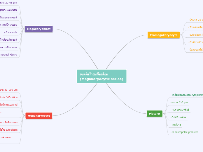 เซลล์สร้างเกล็ดเลือด (Megakaryocytic serie...- Mind Map