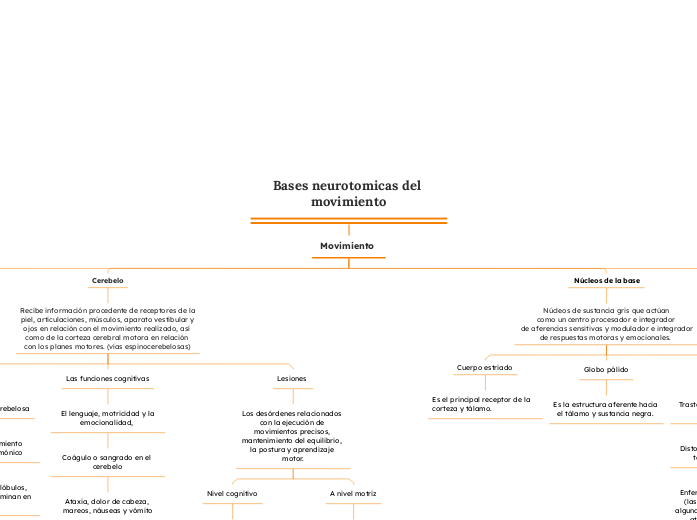 Bases neurotomicas del movimiento