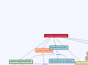 Tecnologies de visualització - Mapa Mental