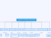 CAPAS DE ENLACE DE DATOS - Mapa Mental