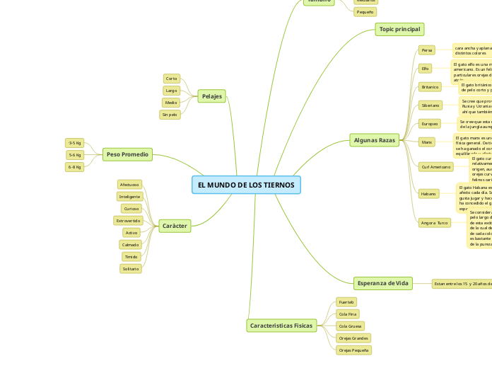 EL MUNDO DE LOS TIERNOS - Mapa Mental