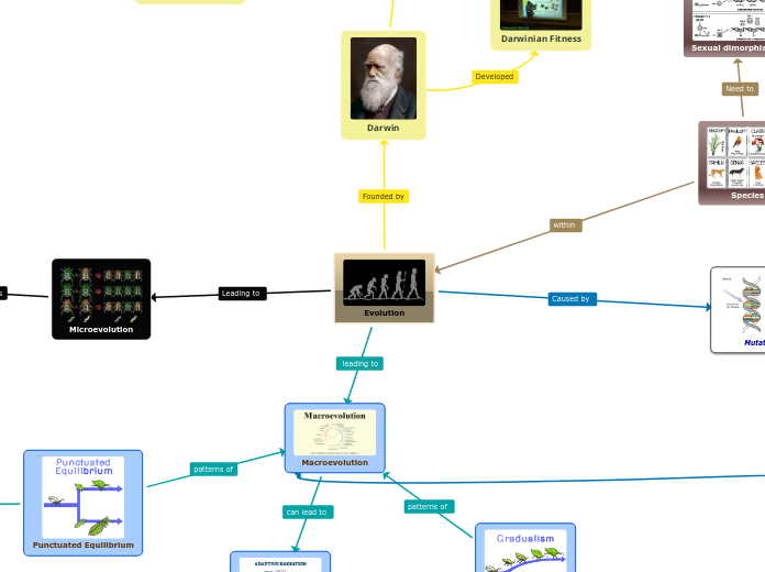 Evolution - Mind Map
