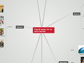 Planificacion de la 
vida familiar - Mapa Mental
