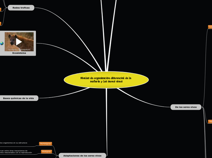 Niveles de organización diferencial de ...- Mapa Mental