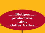 ........Biotipos....... ..productivos.....- Mapa Mental
