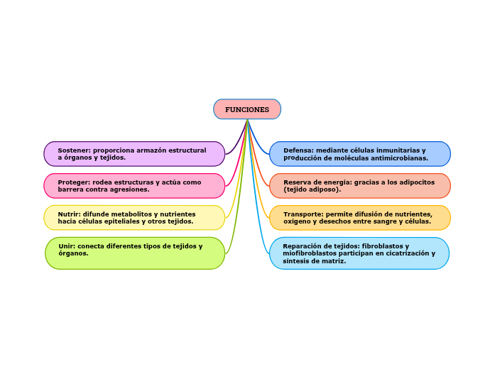 FUNDAMENTOS