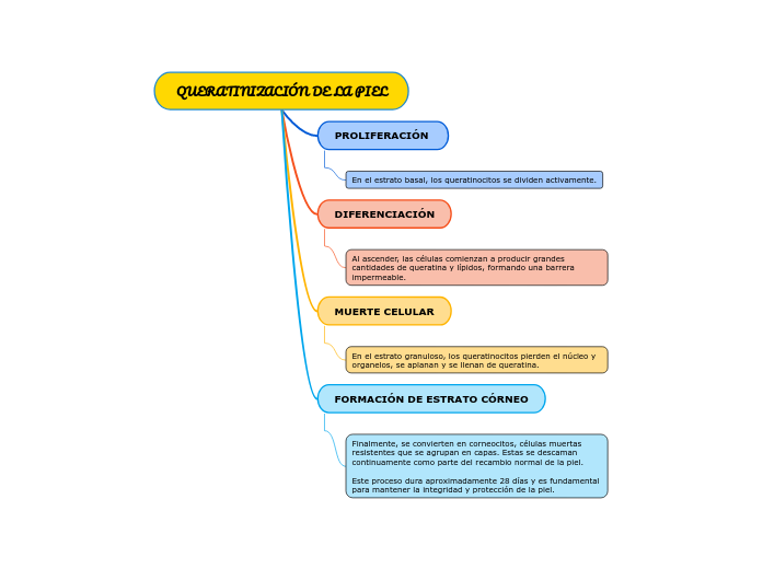 QUERATINIZACIÓN DE LA PIEL