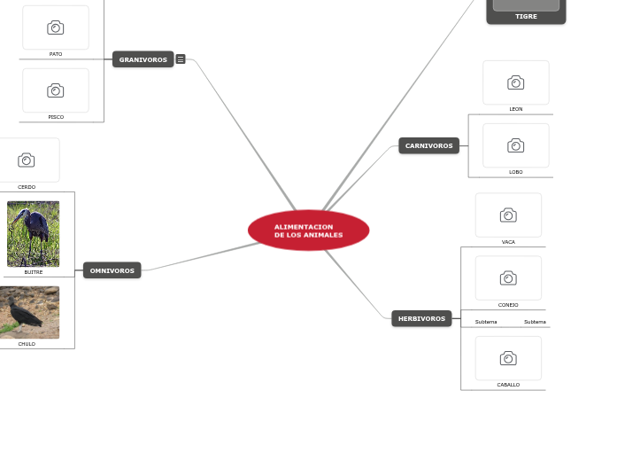 ALIMENTACION DE LOS - Mind Map