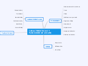CARACTERISTICAS Y FUNCIONES DE UN LMS - Mapa Mental