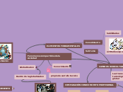 ELEMENTOS FUNDAMENTALES - Mapa Mental